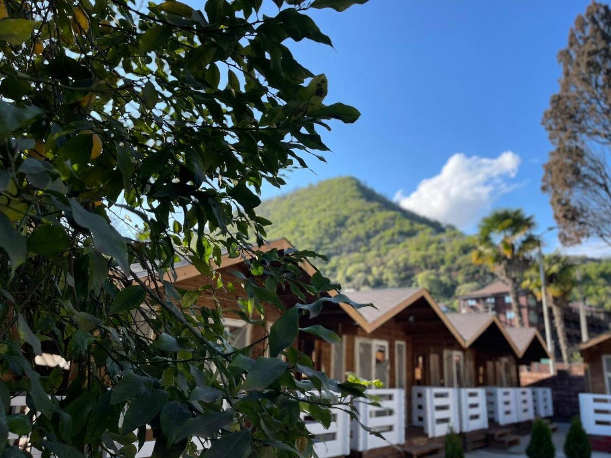 Гостевой Комплекс Парус Hotel New Athos Exterior photo